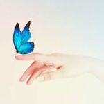 ・カウンセリング